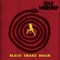 Black Snake Moan - Idle Warship lyrics