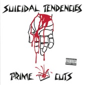 Suicidal Tendencies - Institutionalized (Album Version)