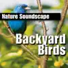 Stream & download Backyard Birds (Nature Sounds Only)