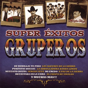 Super Éxitos Gruperos