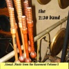 Atonal Music from the Basement Vol.1, 2007