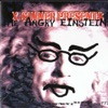 X-Sinner Presents the Angry Einsteins: Cracked