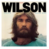 Dennis Wilson - Moonshine