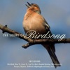 Wren - Birdsong