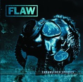 Flaw - Medicate