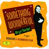 Something Wonderful: Bryn Terfel Sings Rodgers & Hammerstein