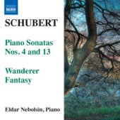 Schubert: Piano Sonatas Nos. 4 & 13 - Wanderer Fantasy artwork