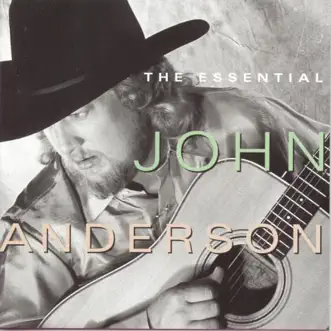 Seminole Wind by John Anderson song reviws