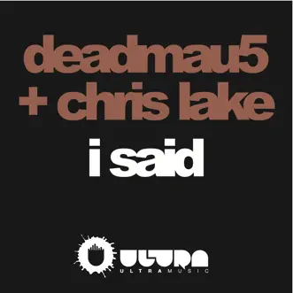 I Said (Michael Woods Remix) by Deadmau5 & Chris Lake song reviws