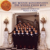 The Vienna Choir Boys Sing Johann Strauss Waltzes and Polkas artwork