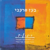 בועז שרעבי - שיר השירים