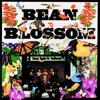 Bean Blossom (Live)