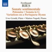 Flute Sonata in G major, Op. 87: III. Theme and Variations artwork