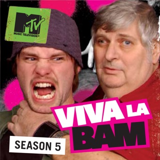 Вива ля бэм. Вива ля БЭМ телепередача. Viva la Bam картинки. Viva la Bam Art.