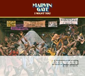 Marvin Gaye - Aer The Dance (Instrumental)