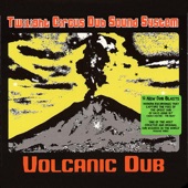 Twilight Circus Dub Sound System - Seismic