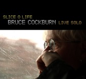 Bruce Cockburn - Last Night of the World