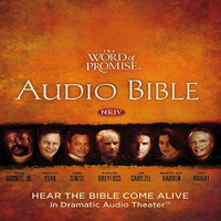 Thomas Nelson, Inc. - The Word of Promise Audio Bible - New King James Version, NKJV: (08) 1 Samuel (Unabridged) artwork
