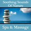 Soothing Sounds of Nature: Spa & Massage album lyrics, reviews, download