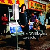 WALLFLOWERS - LETTERS FROM THE WASTELAND