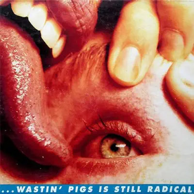 Wastin' Pigs is Still Radical - EP - The Flaming Lips