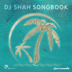 DJ Shah - Now or Never (feat. Aruna) [Acoustic Version]