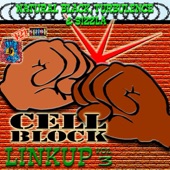 Cell Block Linkup, Vol. 3 artwork