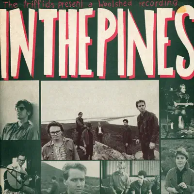 In the Pines - The Triffids