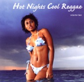 Hot Nights Cool Reggae Vol. 2 artwork