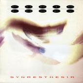 Synaesthesia (12" Mix) artwork