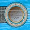 Aterciopelados - Insoportable
