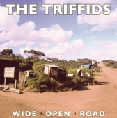 The Triffids - Wide Open Road