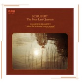 Schubert: String Quartets artwork