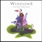 Morning At Salt Point - Windows lyrics