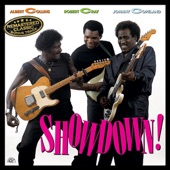 Albert Collins - She's Into Something