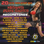 20 Mega Hits Reggaeton Mix 1 artwork