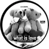 What Is Love 2007 - EP album lyrics, reviews, download
