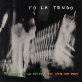 Yo La Tengo - Did I Tell You