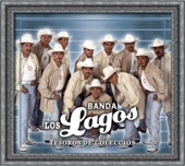 Banda Los Lagos: Tesoros de Coleccion