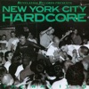 New York City Hardcore: The Way It Is, 1988