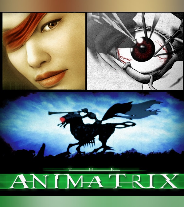 the animatrix poster