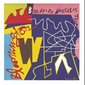 Branford Marsalis - Friday The 13th (Album Version)