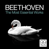 Beethoven: The Most Essential Works artwork