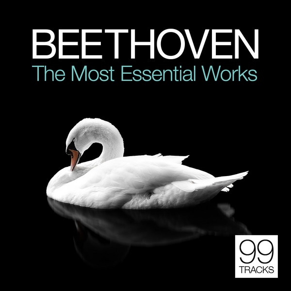 String Quartet No. 8 in E Minor, Op. 59/2, "Razumovsky Quartet No. 2": III. Allegretto ("Theme Russe")