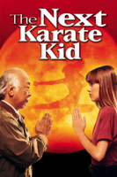 Christopher Cain - The Next Karate Kid artwork