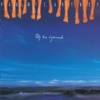 Off the Ground, 1993