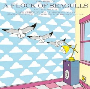 The Best of a Flock of Seagulls