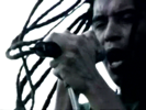 Alive and Kicking - Nonpoint
