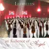 An Audience of Angels album lyrics, reviews, download