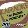 Zoom Karaoke - Everyday Is Like Sunday